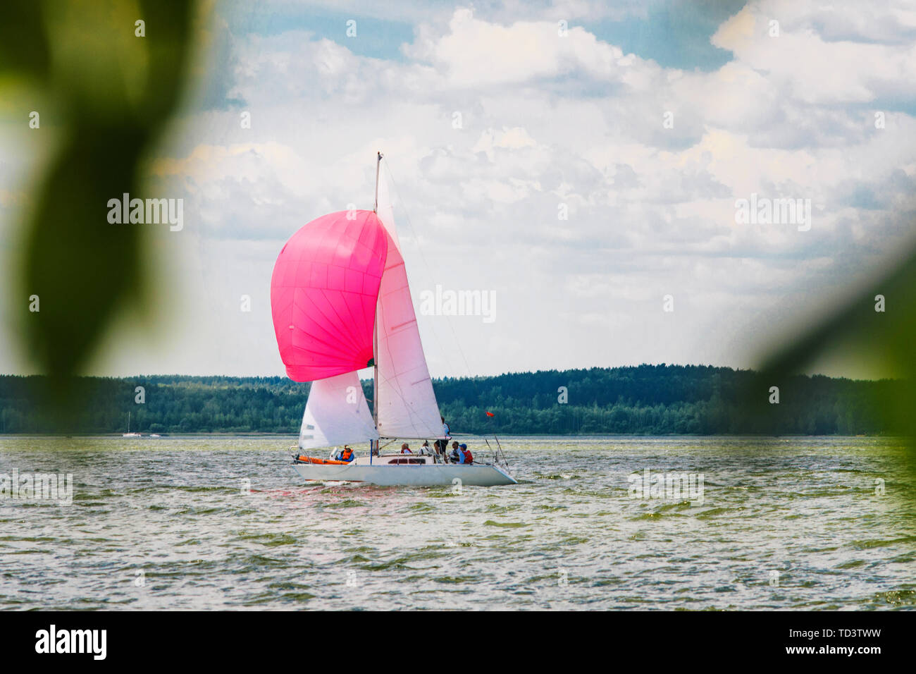 Eine kleine Segelyacht mit einem rosa Spinnaker und weißen Segeln geht an die Bucht auf einer verschlafenen Tag vor dem Hintergrund von einem dichten Wald auf der gegenüberliegenden Verbot Stockfoto