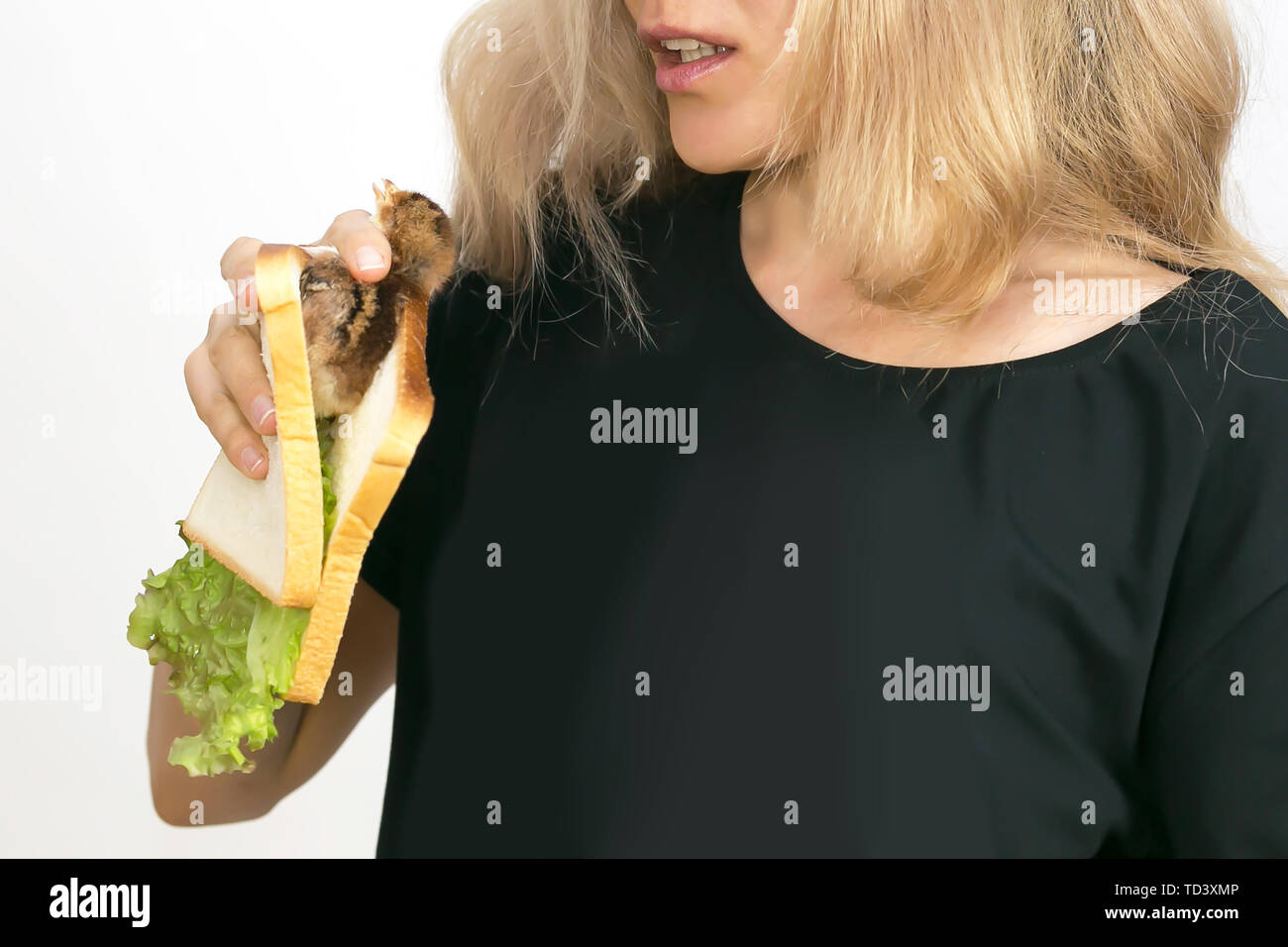 Live Huhn in einem Sandwich, Werbung Vegetarismus. Stockfoto