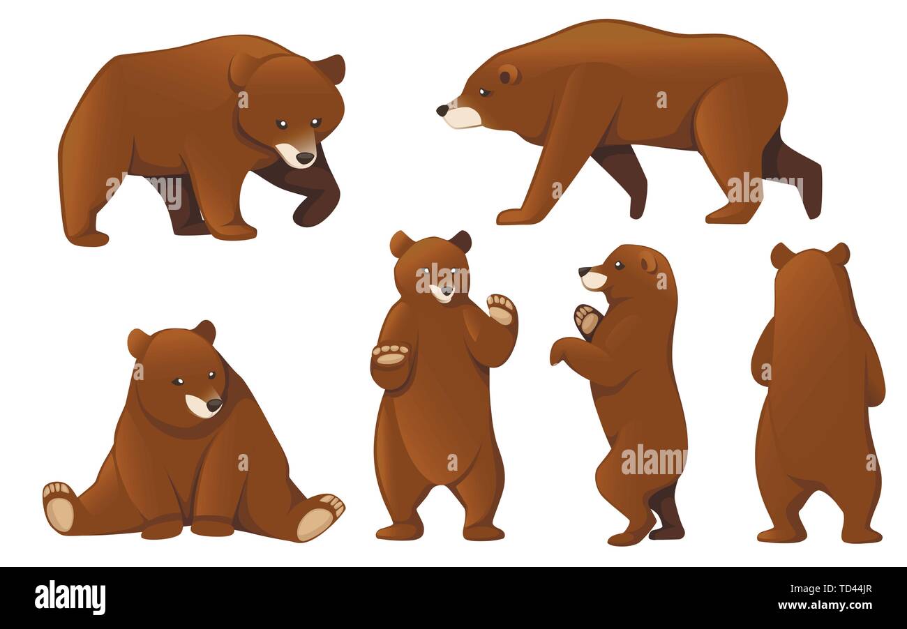 Satz von Grizzly Bären. Nordamerika Tier, Braunbär. Cartoon animal Design. Flache Vector Illustration auf weißem Hintergrund. Stock Vektor