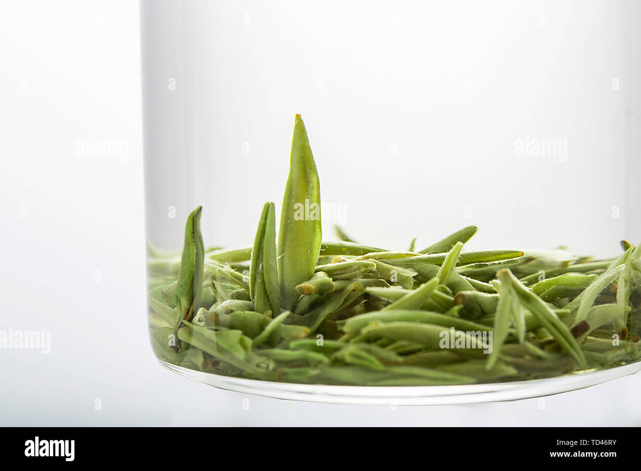 Spezielle hochwertige einzelne Knospe vor Mao Jian in Xinyang Stockfoto