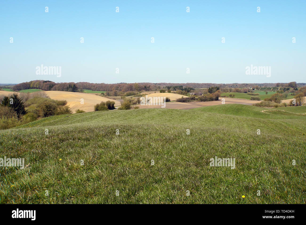 Sanfte, durch die Eiszeit geformte Hügel in Süddänemark bei Genner, Rodekro, Deutschland Stockfoto