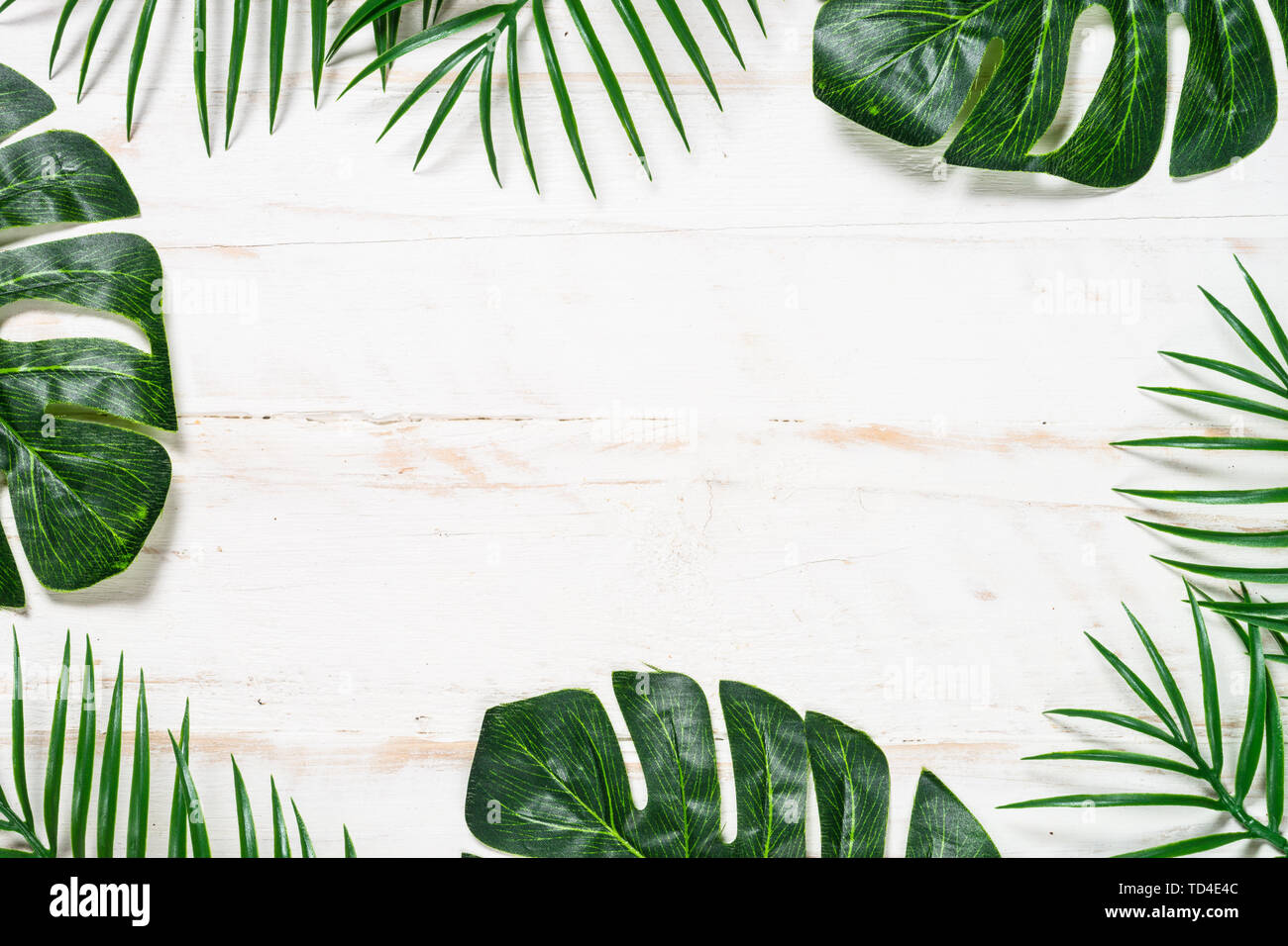 Palm Blätter auf weißem Holz- Hintergrund der Ansicht von oben. Stockfoto