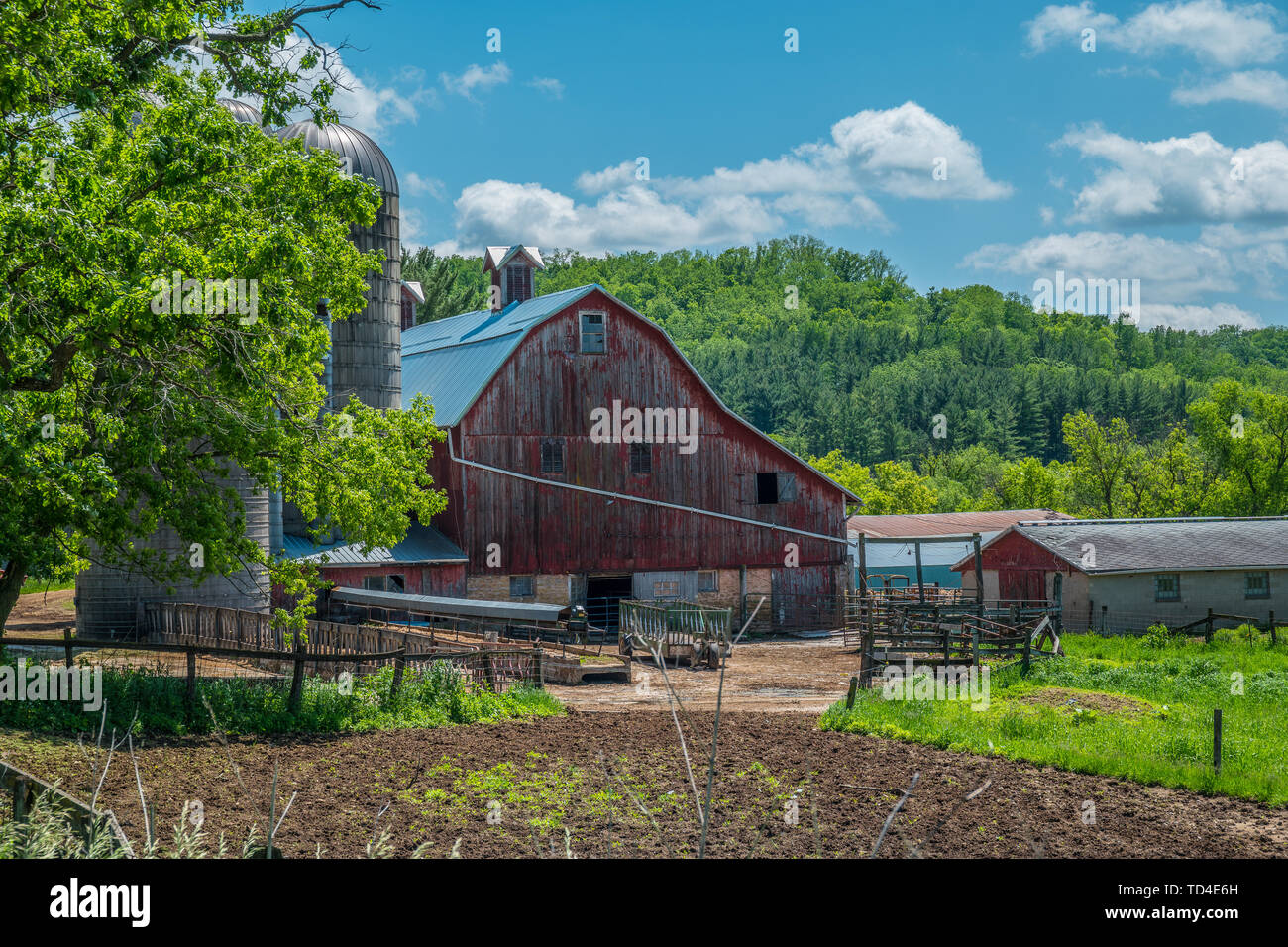 Rustikale alte rote Scheune, ist ein Bauernhof auf einem Hügel im ländlichen Wisconsin sitzen, an einem sonnigen Nachmittag Stockfoto