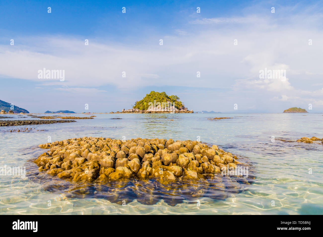 Coral in Ko Lipe ausgesetzt, Tarutao National Marine Park, Thailand, Südostasien, Asien Stockfoto