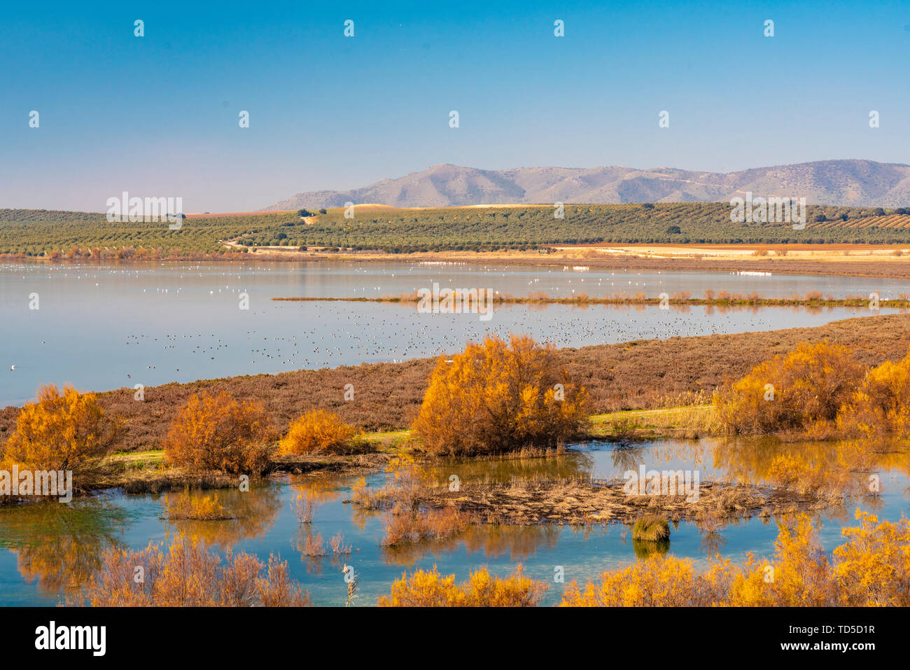 Laguna de Fuente Piedra Naturschutzgebiet und den Aufenthalt für viele Vögel von April bis August darunter Flamingos, Malaga, Andalusien, Spanien, Europa Stockfoto
