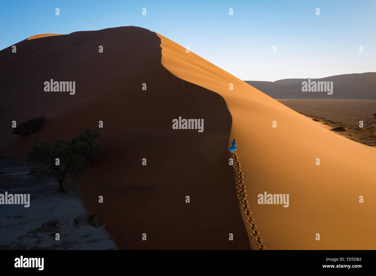 Drone Schuß des Modells Klettern Düne 13, Sossusvlei, Namibia, Afrika Stockfoto