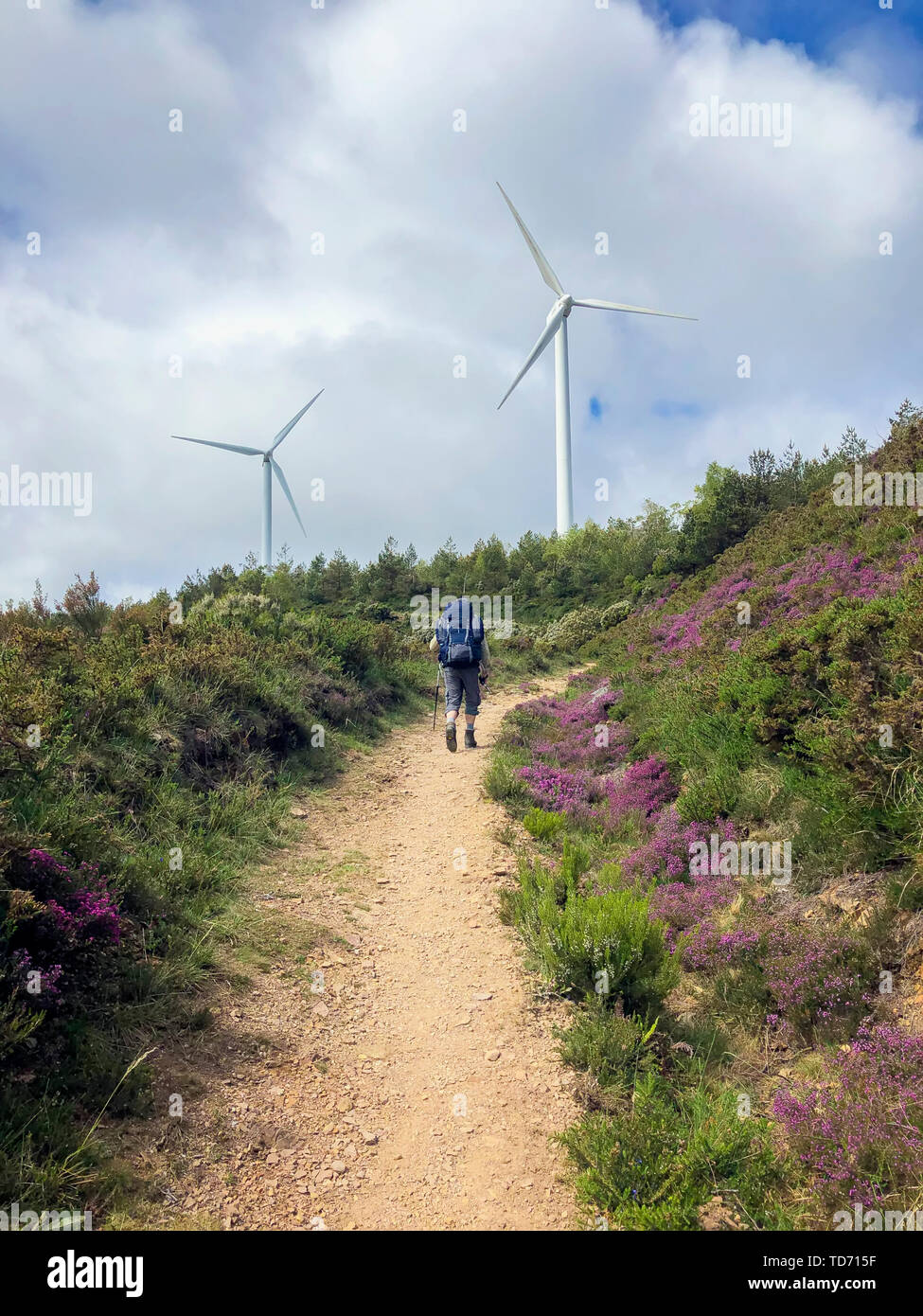Reisende mit einem Rucksack und Wanderstöcke, klettert ein Boden Straße bis zu einem Hügel, wo der Wind Generatoren sichtbar sind. Aktiven und gesunden Lebensstil in Stockfoto
