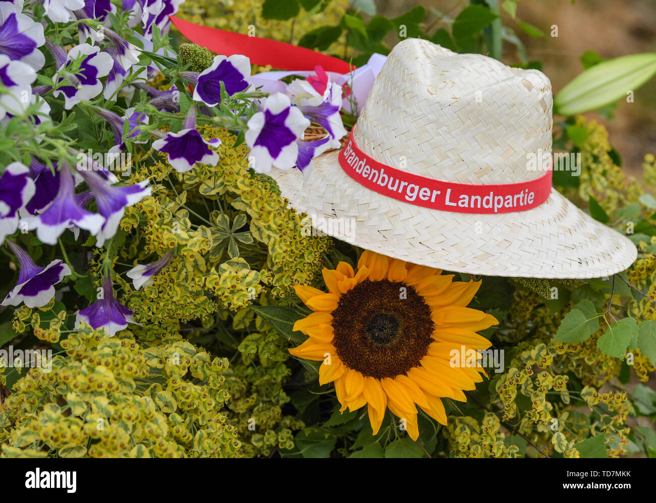 Schlepzig, Deutschland. 13. Juni, 2019. Einen Strohhut mit der Inschrift "Brandenburger Landpartie" liegt am Rande eines drücken Sie die Taste Datum für den Öllein blühen. Am kommenden Wochenende 15./16.06.2019 Die 25 Brandenburger Landpartie statt. Versuchen Sie Spargel und Erdbeeren, siehe landwirtschaftliche Maschinen, eine Kutschfahrt: 225 Betriebe zwischen der Uckermark und der Niederlausitz, die Sie zu den 25 Brandenburger Landpartie am nächsten Wochenende einladen. Rund 100.000 Besucher werden erwartet. Foto: Patrick Pleul/dpa-Zentralbild/ZB/dpa/Alamy leben Nachrichten Stockfoto