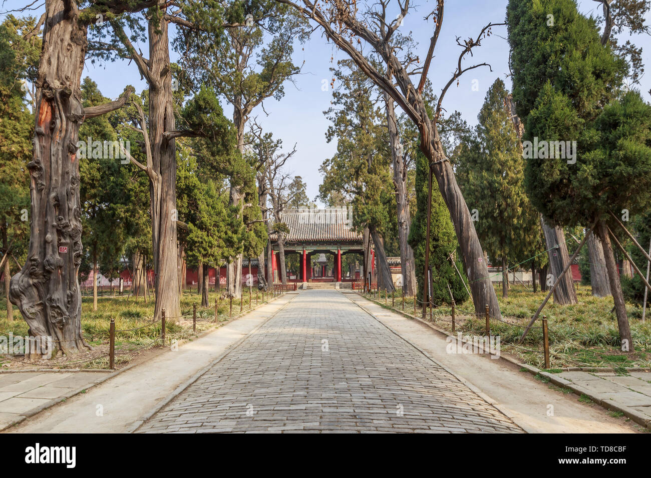 Die Cheng heilige Tor unter der Abdeckung des Mencius Mencius, Tempel der Stadt Zoucheng, Provinz Shandong Stockfoto