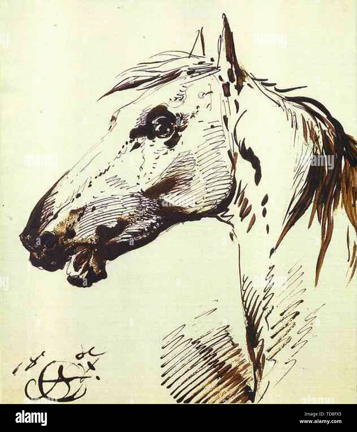 Orlowski-Kopf Pferd 1807 Stockfoto