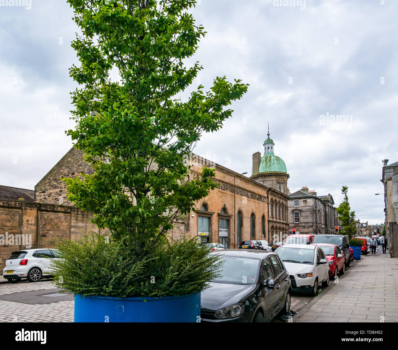 Bäume in großen Töpfen erscheinen in der Straße parken, Corn Exchange, Verfassung, Leith Street, Edinburgh, Schottland, Großbritannien Stockfoto