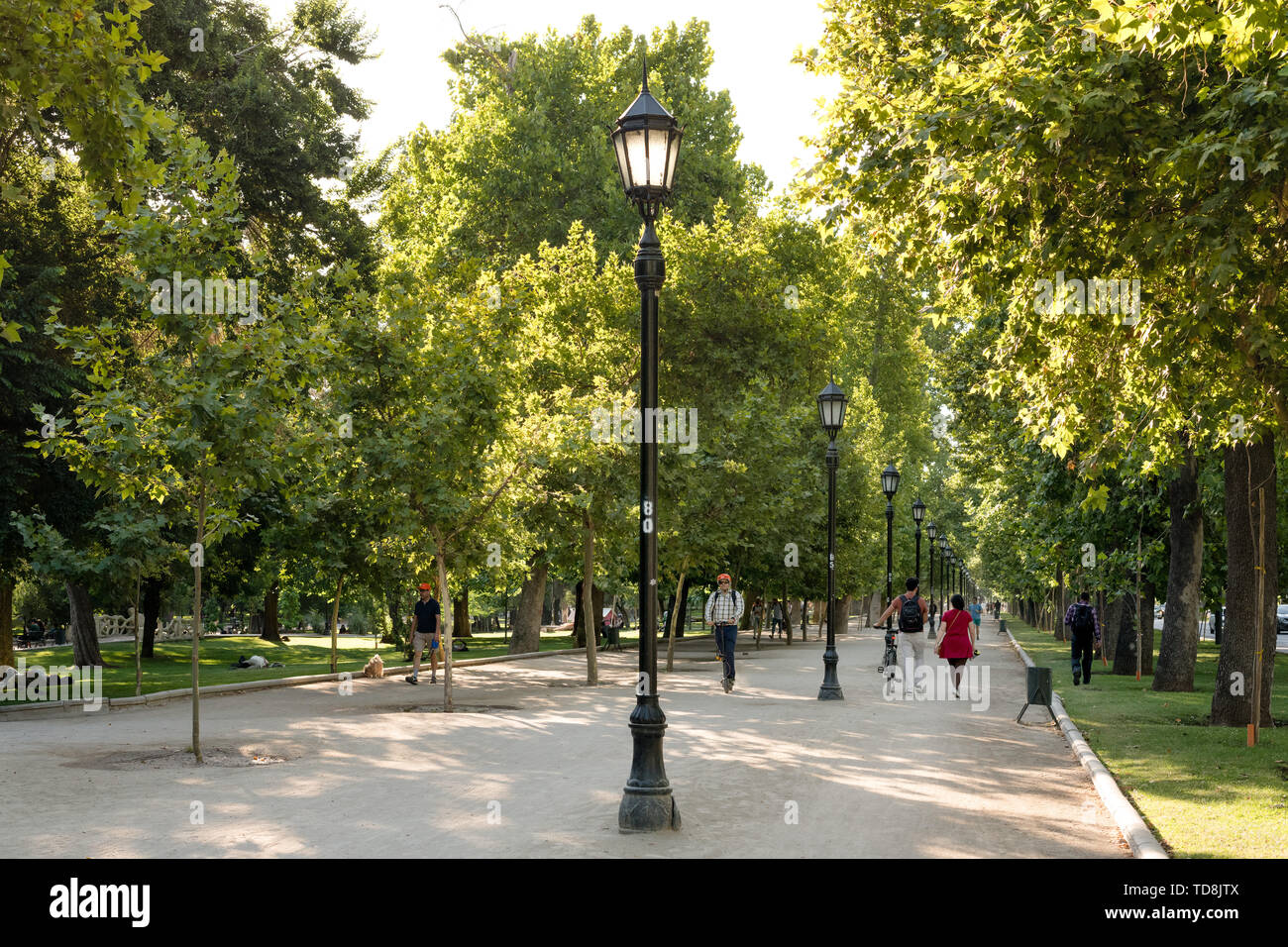 Region Metropolitana, Santiago, Chile - Menschen zu Fuß in die forstliche Park, die mehr traditionellen städtischen Park in der Stadt. Stockfoto