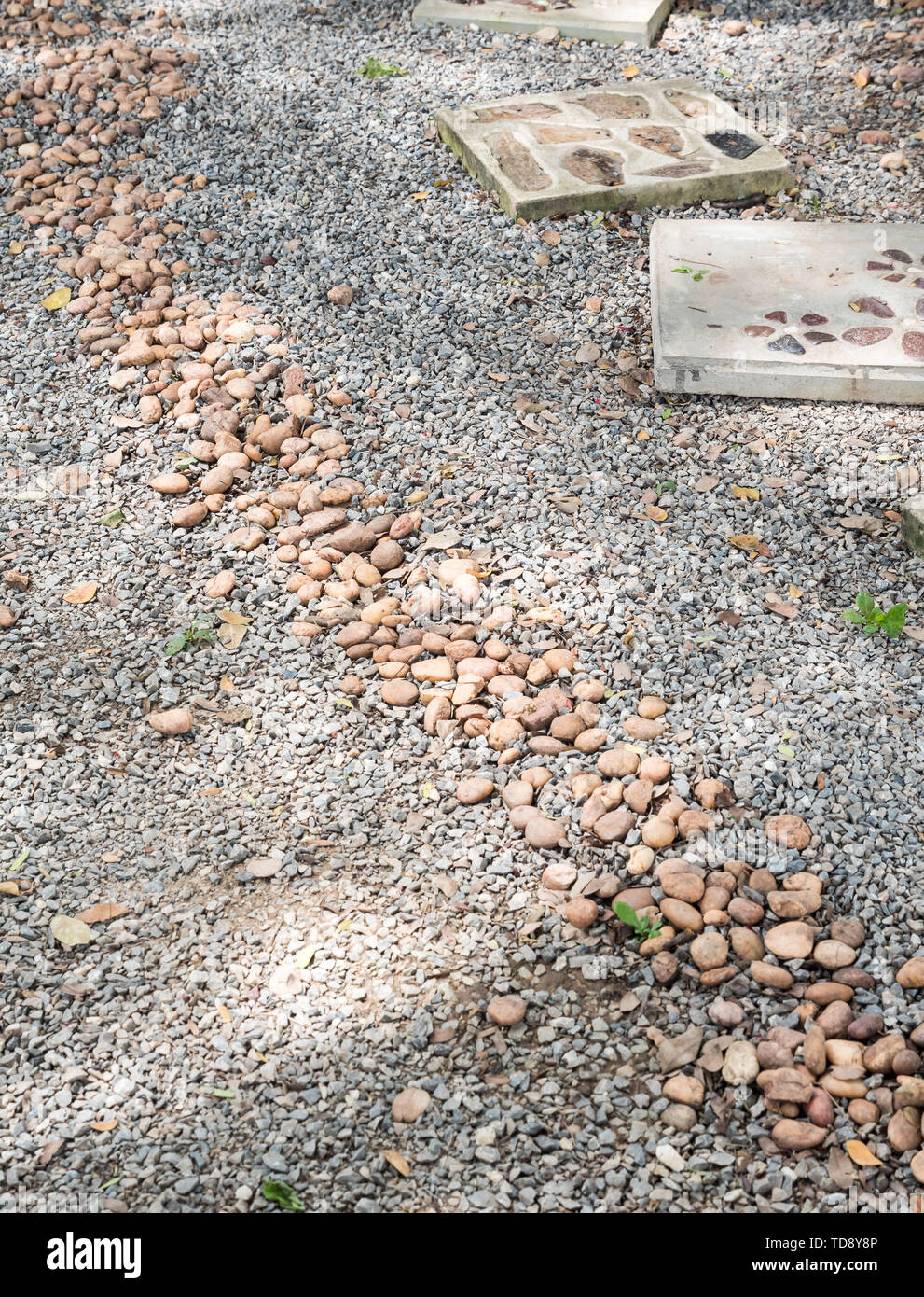 Pebbles Weg entlang der Stein Gehweg für die Dekoration in den kleinen Garten. Stockfoto