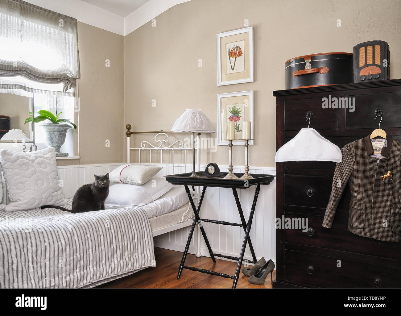 Katze auf weißes Metall Bett im Schlafzimmer britische und irische NUR RECHTE Stockfoto