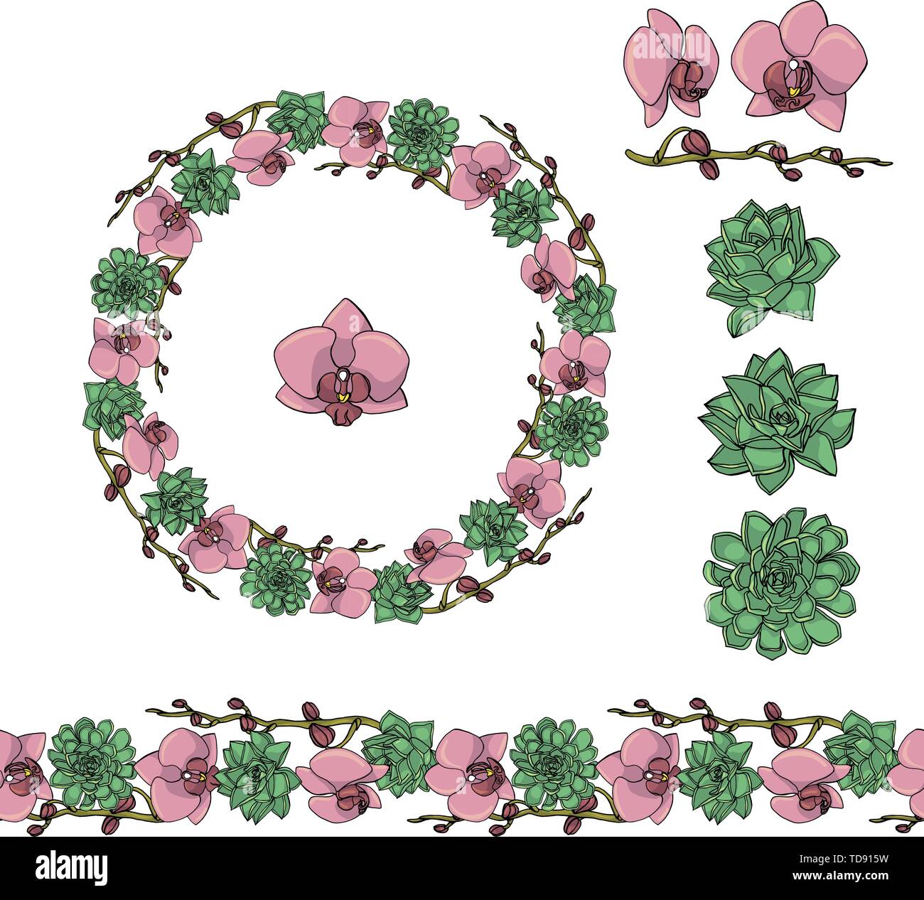 Hand gezeichnet Doodle style saftig und Orchideenblüten. Kranz und nahtlose Bürste. Floral Design Element. auf weißem Hintergrund. Vektor krank Stock Vektor