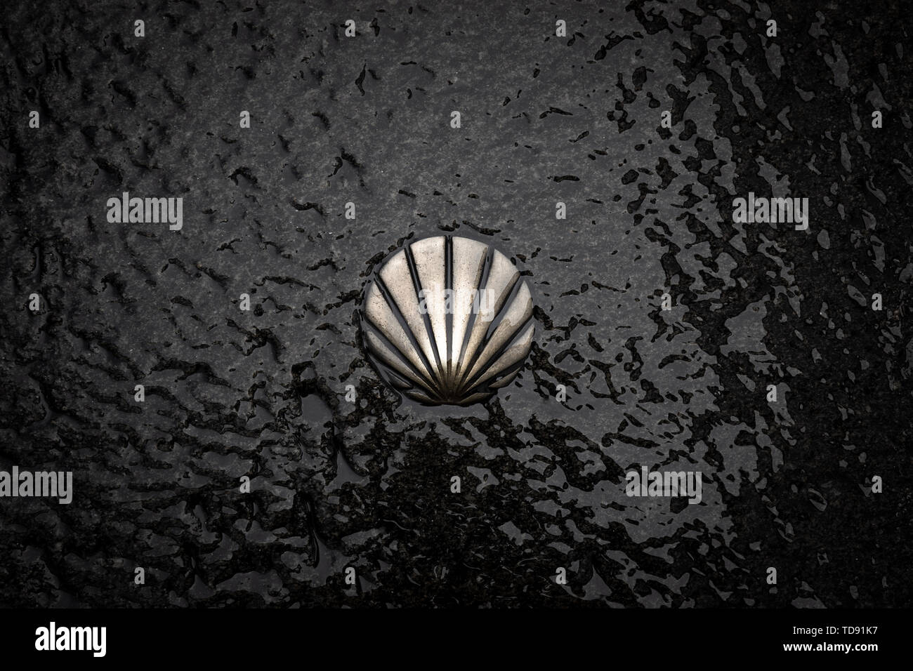 St James Weg Shell Symbol. Camino de Santiago bronze Zeichen auf nassen Stein. Pilgerfahrt nach Santiago de Compostela, Galicien, Spanien Stockfoto