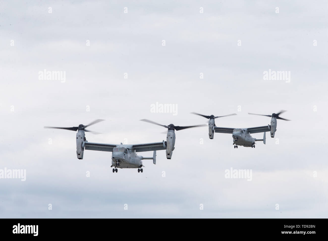 Us Marine Corps MV-22 B Fischadler vorbereiten, während der Übung Stahl Hecht im Marine Corps Hilfs Landeplatz Bogue, North Carolina, 11. Juni 2019 zu landen. Die Flugzeuge sind mit Marine Medium Tiltrotor Squadron (VMM) 162, Marine Flugzeuge Gruppe 26, 2. Marine Flugzeugflügel. (U.S. Marine Corps Foto von Cpl. Jered T. Stein) Stockfoto