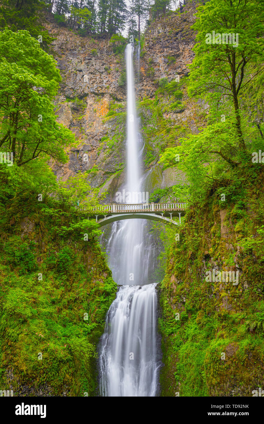 Multnomah Falls ist ein Wasserfall in der Columbia River Gorge, östlich von Troutdale, zwischen Corbett und Dodson, California, United States. Stockfoto