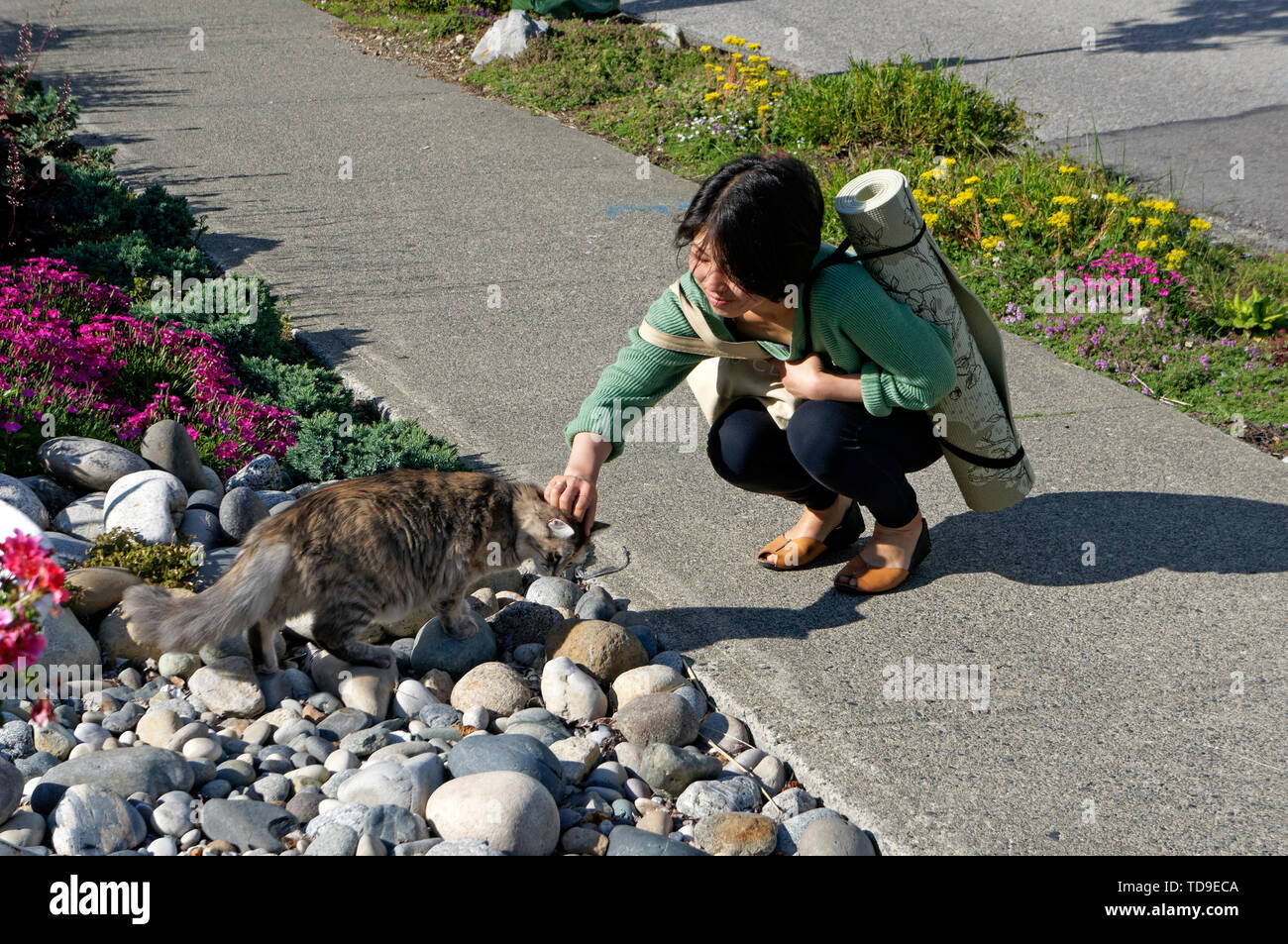 Junge asiatische Frau hocken auf dem Bürgersteig und eine Katze streicheln, Vancouver, BC, Kanada Stockfoto