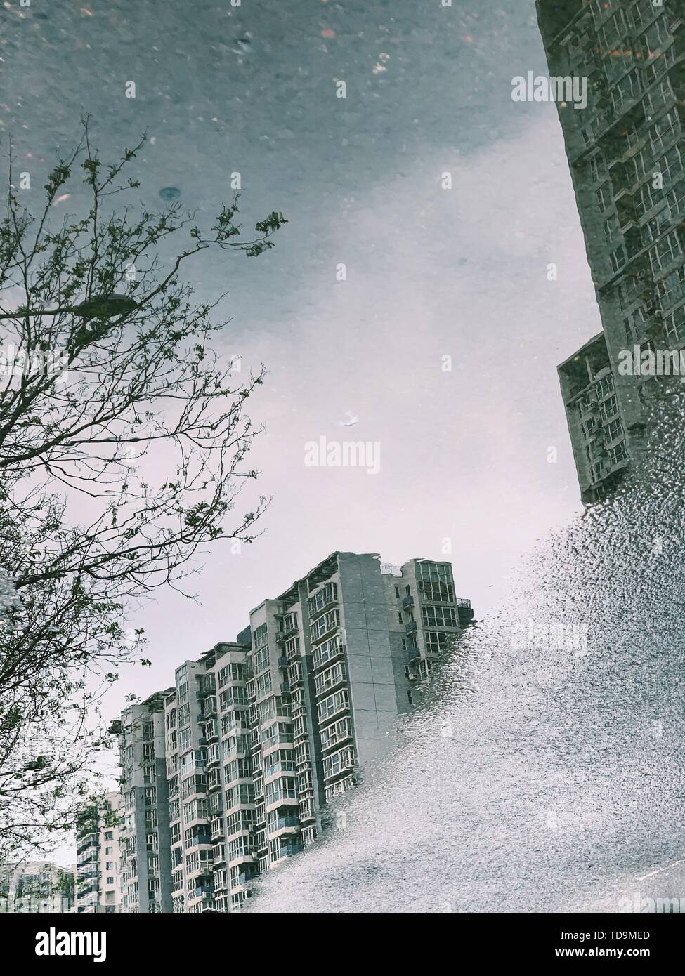 Der erste Frühling Regen in Peking angekommen. Ich mag die Reflexion im Regen. Es ist nicht so eckig, aber ich habe meine eigene Seele. Stockfoto