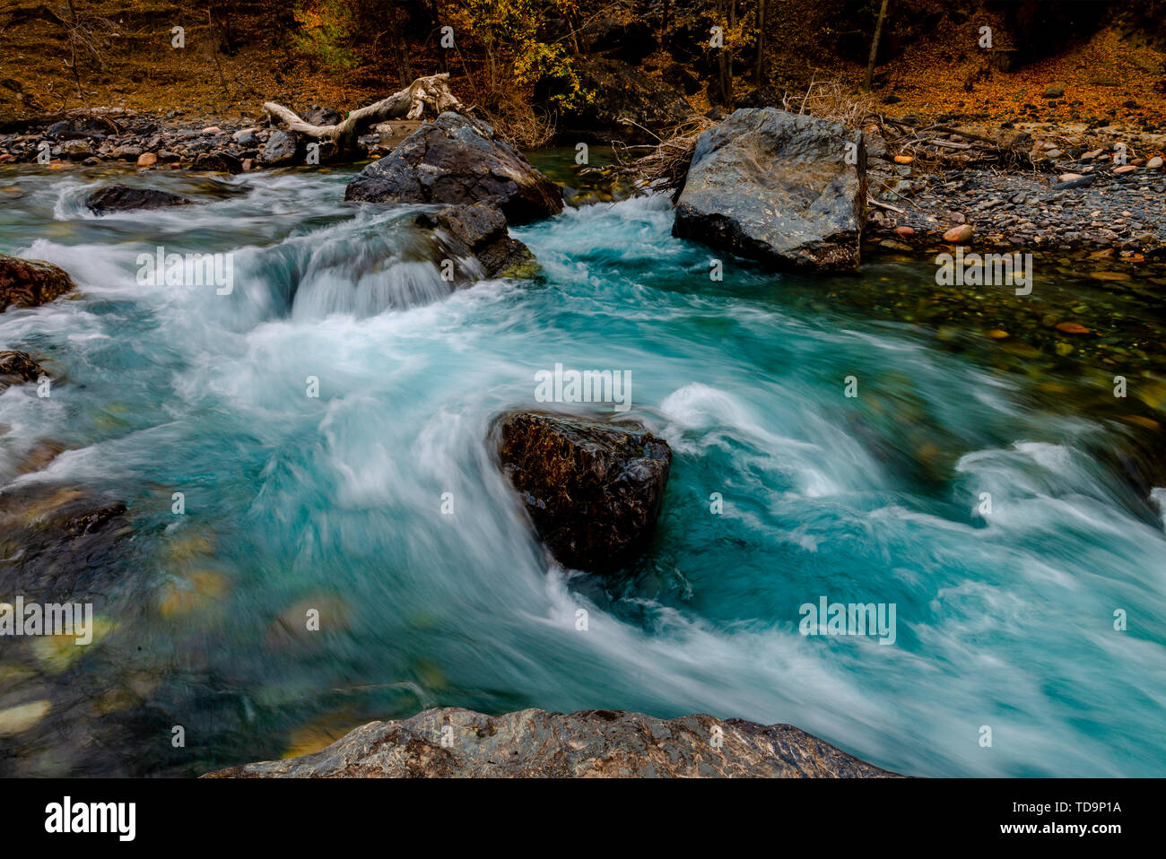 Doku Herbst Farbe 6 Stockfoto
