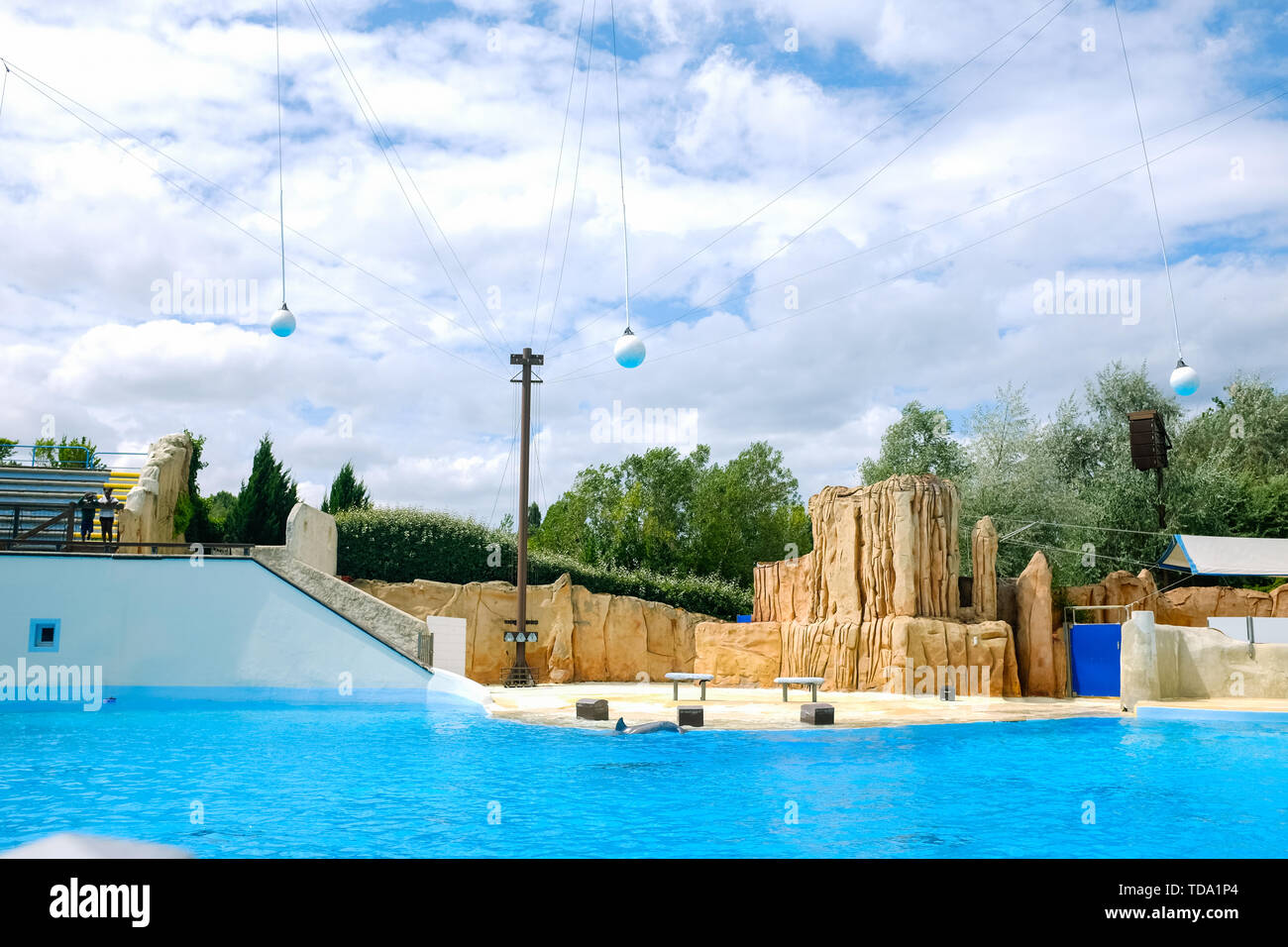 Parc Astérix Delphin Show in Paris Stockfoto