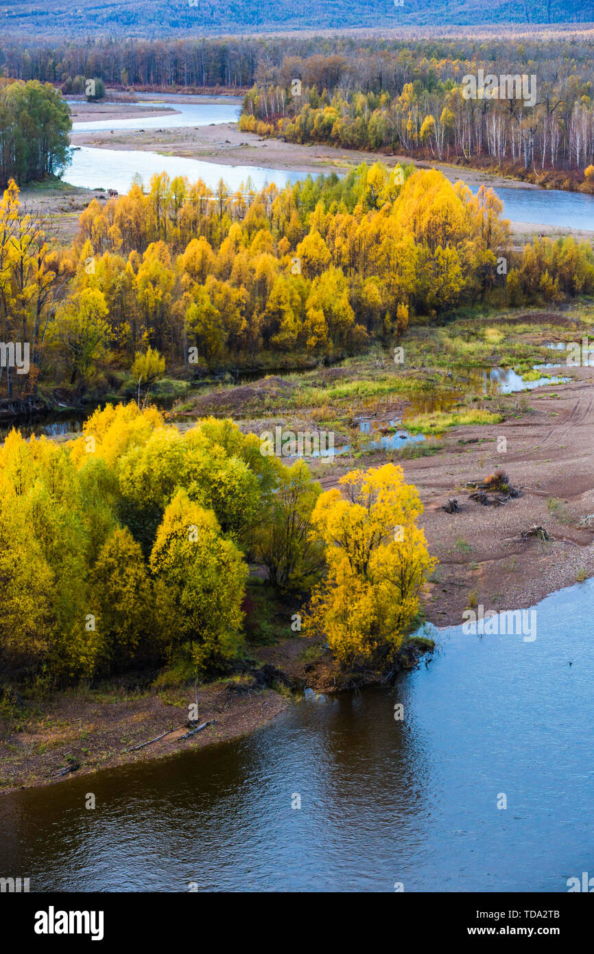 Mangui ist im Hinterland von Daxinganling, Herbst, Birke, Pappel, Lärche ist golden, die Bremsen sind gut aussehend. Stockfoto