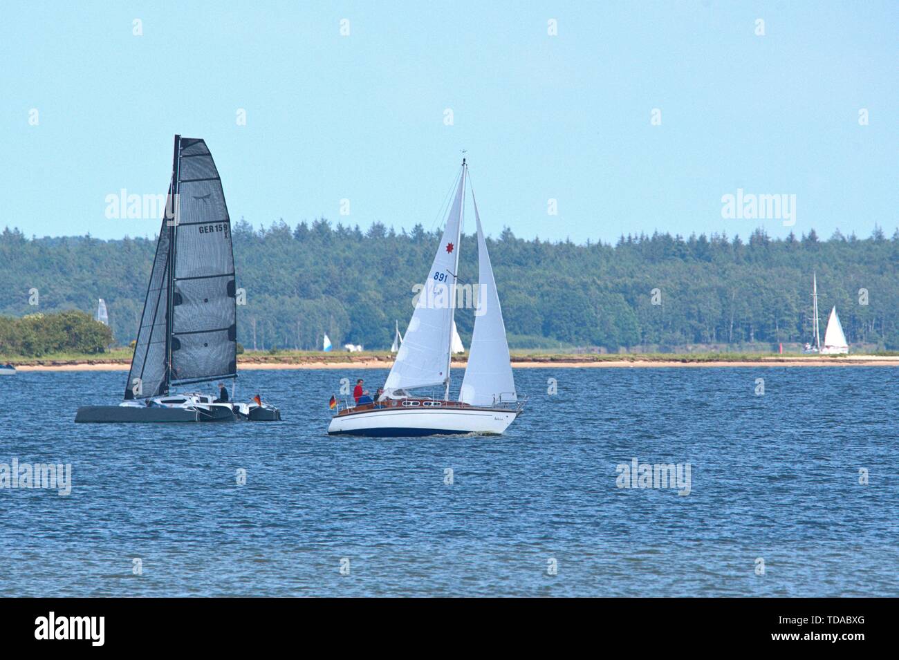 Schleswig, Deutschland. 09 Juni, 2019. 09.06.2019, die Schlei in Schleswig. Die ostseefjord, ein Ostsee Einlass mit brackigem Wasser gefüllt, ist ein beliebtes Segelrevier. Zwei Segelboote auf dem Wasser mit Reesholm im Hintergrund. | Verwendung der weltweiten Kredit: dpa/Alamy leben Nachrichten Stockfoto