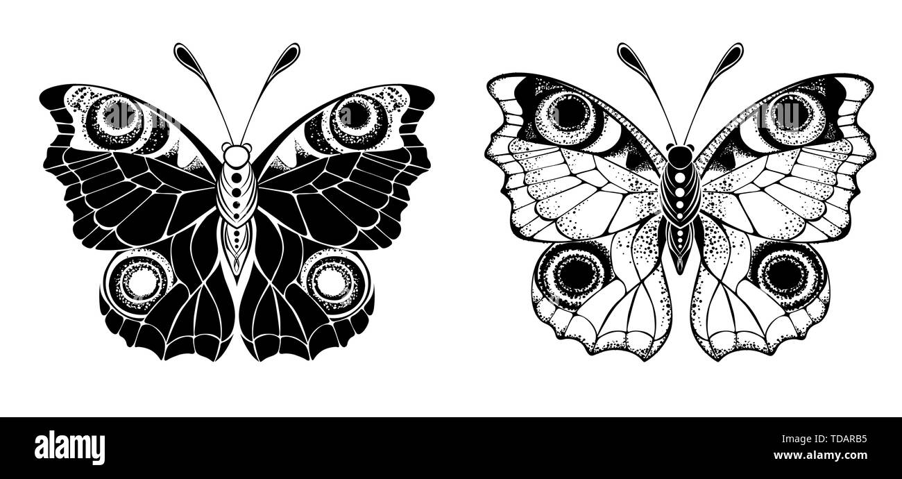 Zwei stilisierte, künstlerische, monochrom, Pfau Schmetterlinge auf weißem Hintergrund. Design Element. Stock Vektor