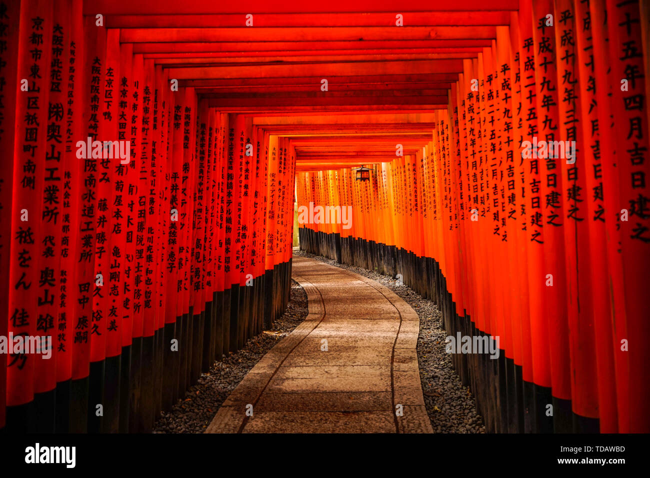 Kyoto, Japan - Apr 5, 2014. Tausende vermilion Torii Tore von fushimi Inari-Taisha Shrine in Kyoto, Japan. Der Schrein ist der wichtigste Shinto sa Stockfoto