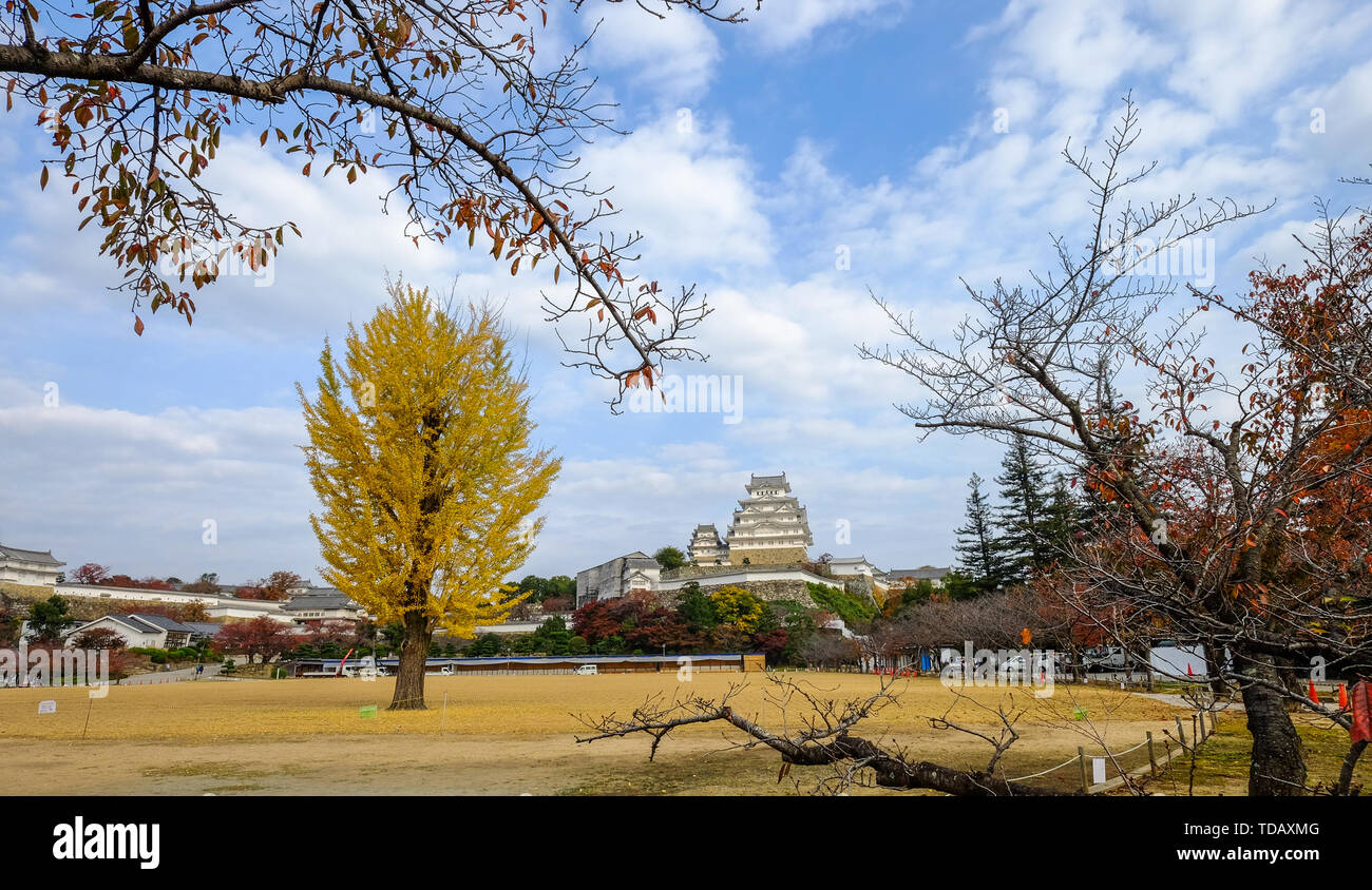 Himeji Castle und Ginkgo Baum im Herbst. Die Burg ist Japan eine einzigartige Architektur, die im 17. Jahrhundert gebaut. Stockfoto