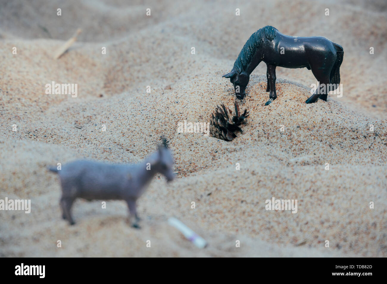 Kunststoff Spielzeug in Form von Pferden und Ziegen auf dem Sand in der Tageszeit Stockfoto