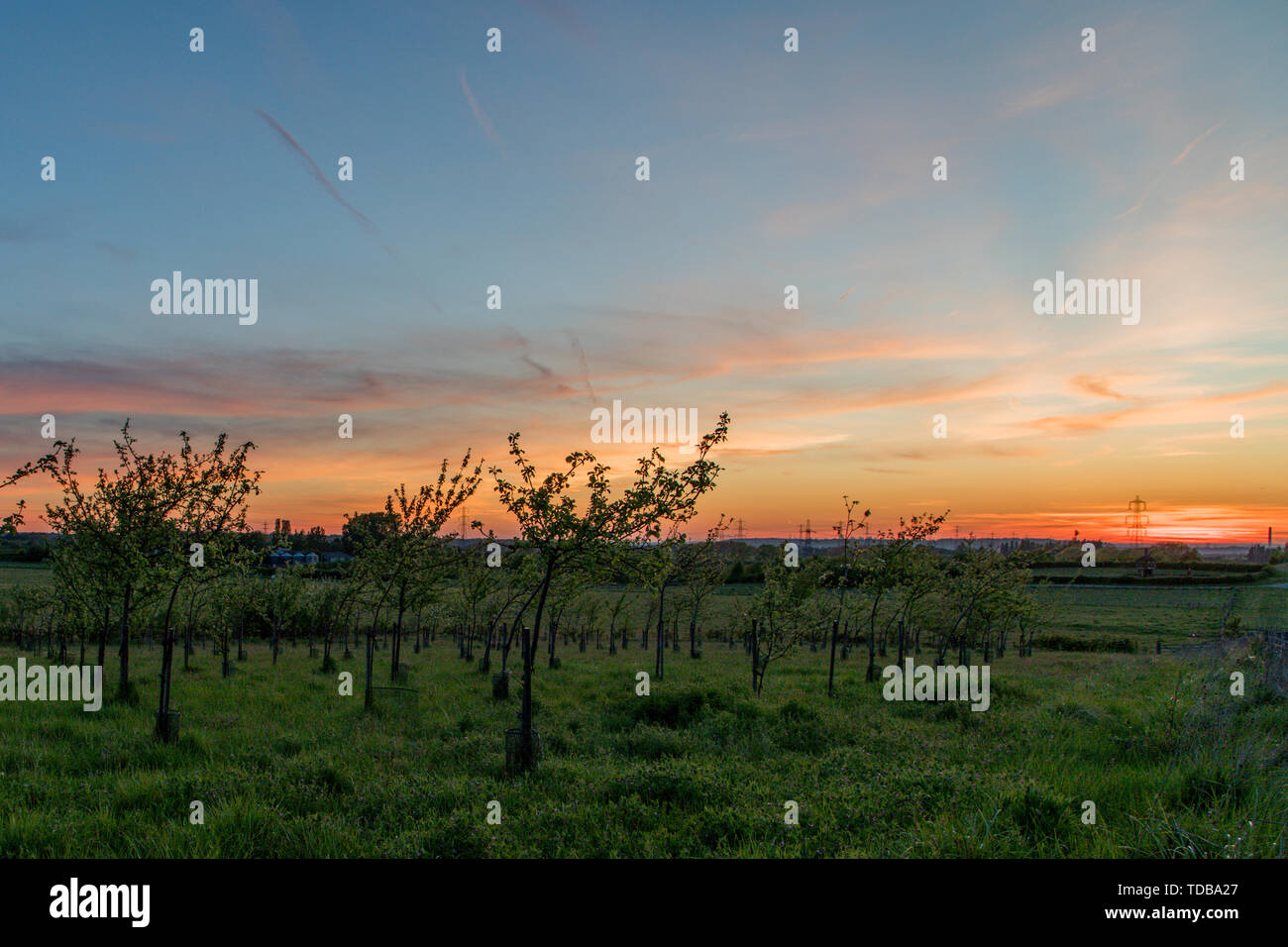 Die Sonne Geht Hinter Die Linien Der Norden Von Kent Heute Morgen