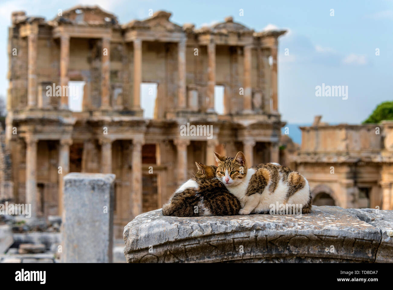 Ephesus, Türkei Stockfoto