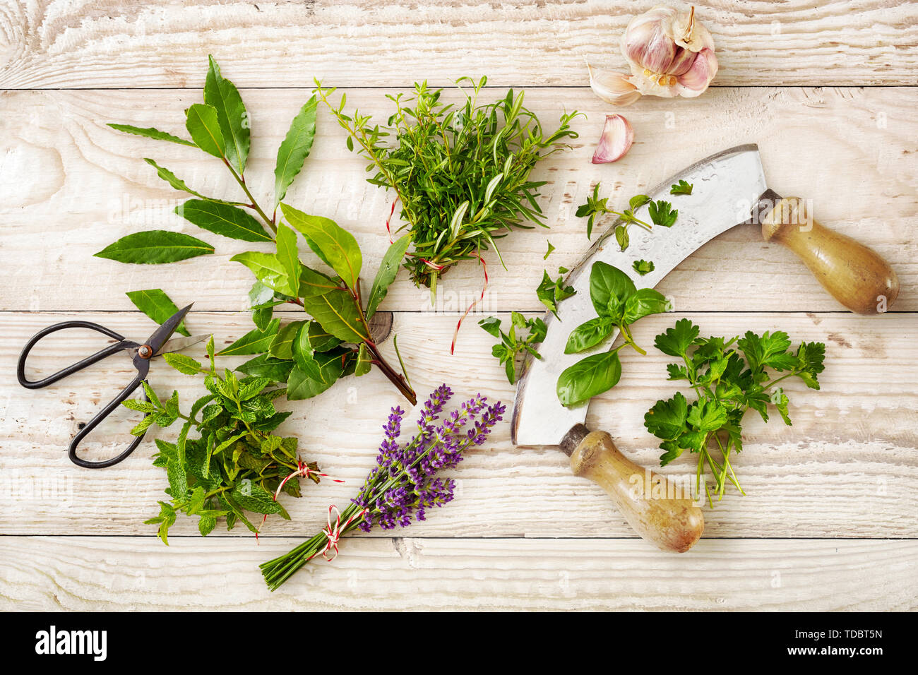 Frische Kräuter und essbare Blüten mit einem mezzaluna Messer und Knoblauchzehe auf weißen Holz mit Holzmaserung Muster von oben gesehen Stockfoto