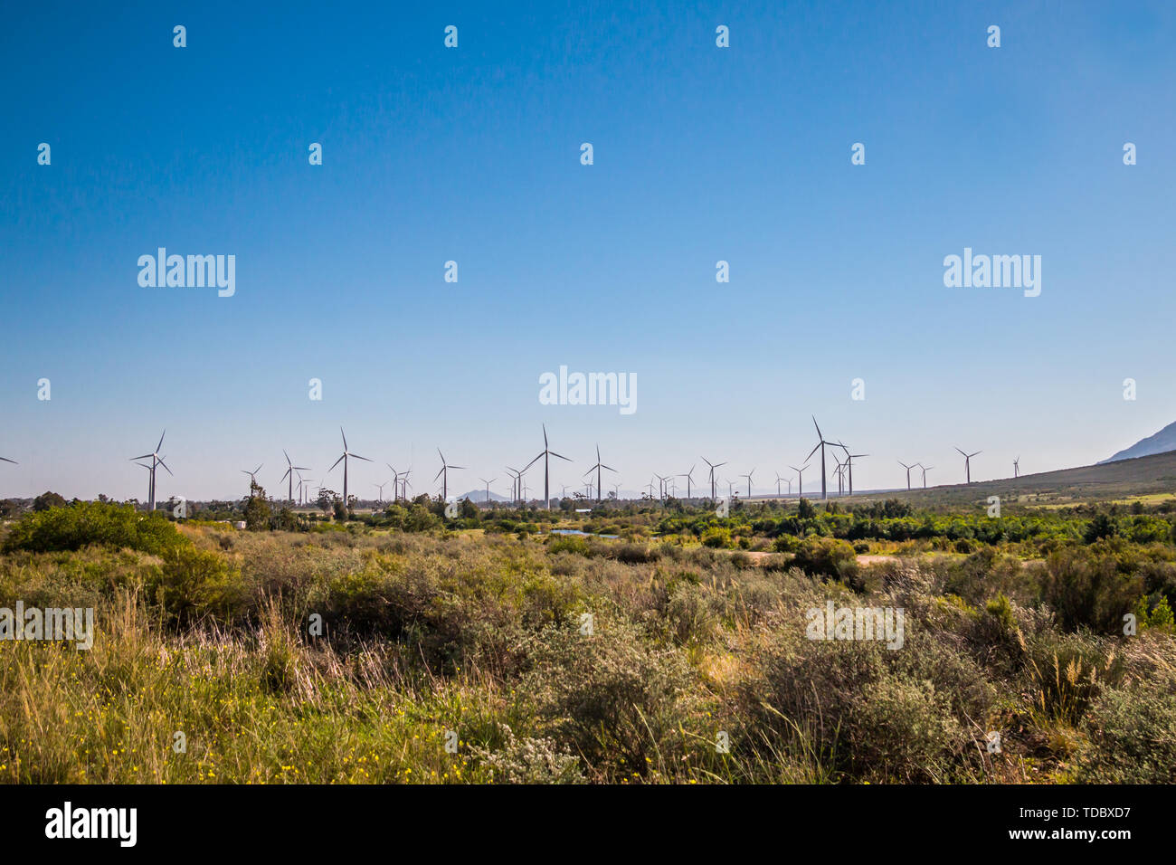 Windpark mit Wind Strom erzeugen Turbinen angetrieben Stockfotografie