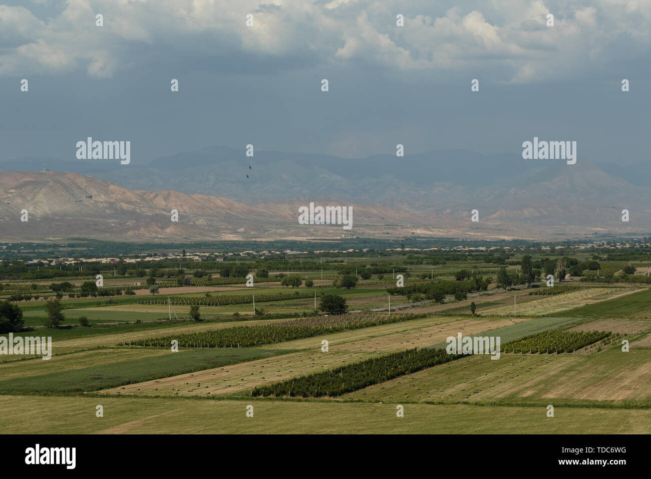 Foto von Feldern mit einer Ernte zusammen mit einem Dorf im Hintergrund auf die Berge Stockfoto