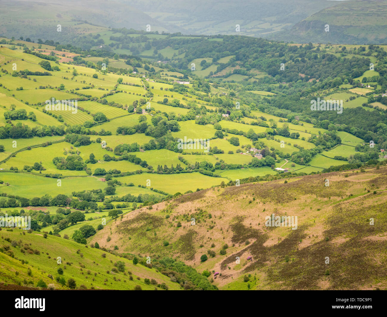 Grünen hügeligen countrysie in die Brecon Beacons Wales UK in der Nähe von Sugar Loaf Mountain Stockfoto