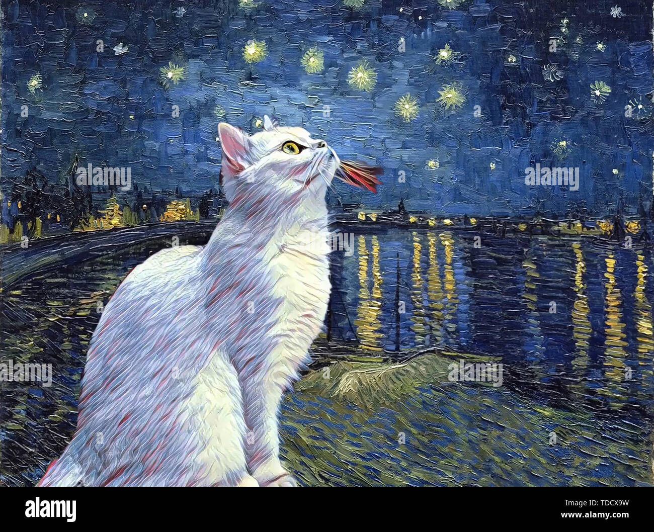 Katze unter den Sternen, Van Gogh Stil Stockfoto