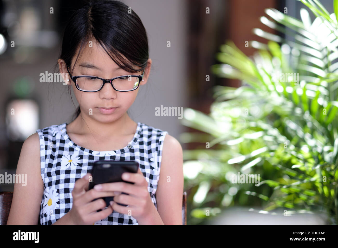 Ein jugendlich Mädchen mit Smart Phone im Cafe Stockfoto
