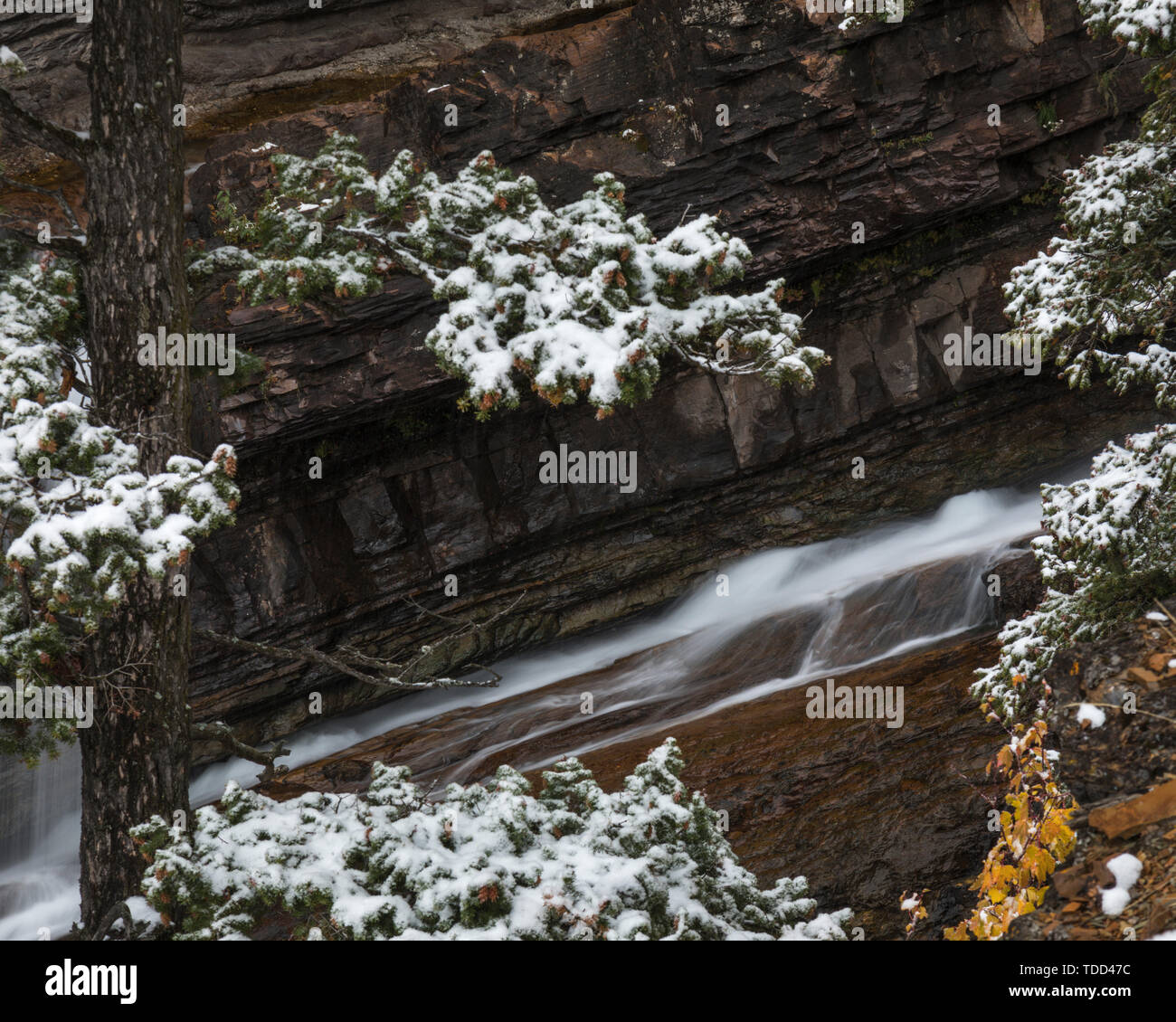 Wasserfall, Cameron fällt, Waterton Lakes Nationalpark, Alberta, Kanada Stockfoto