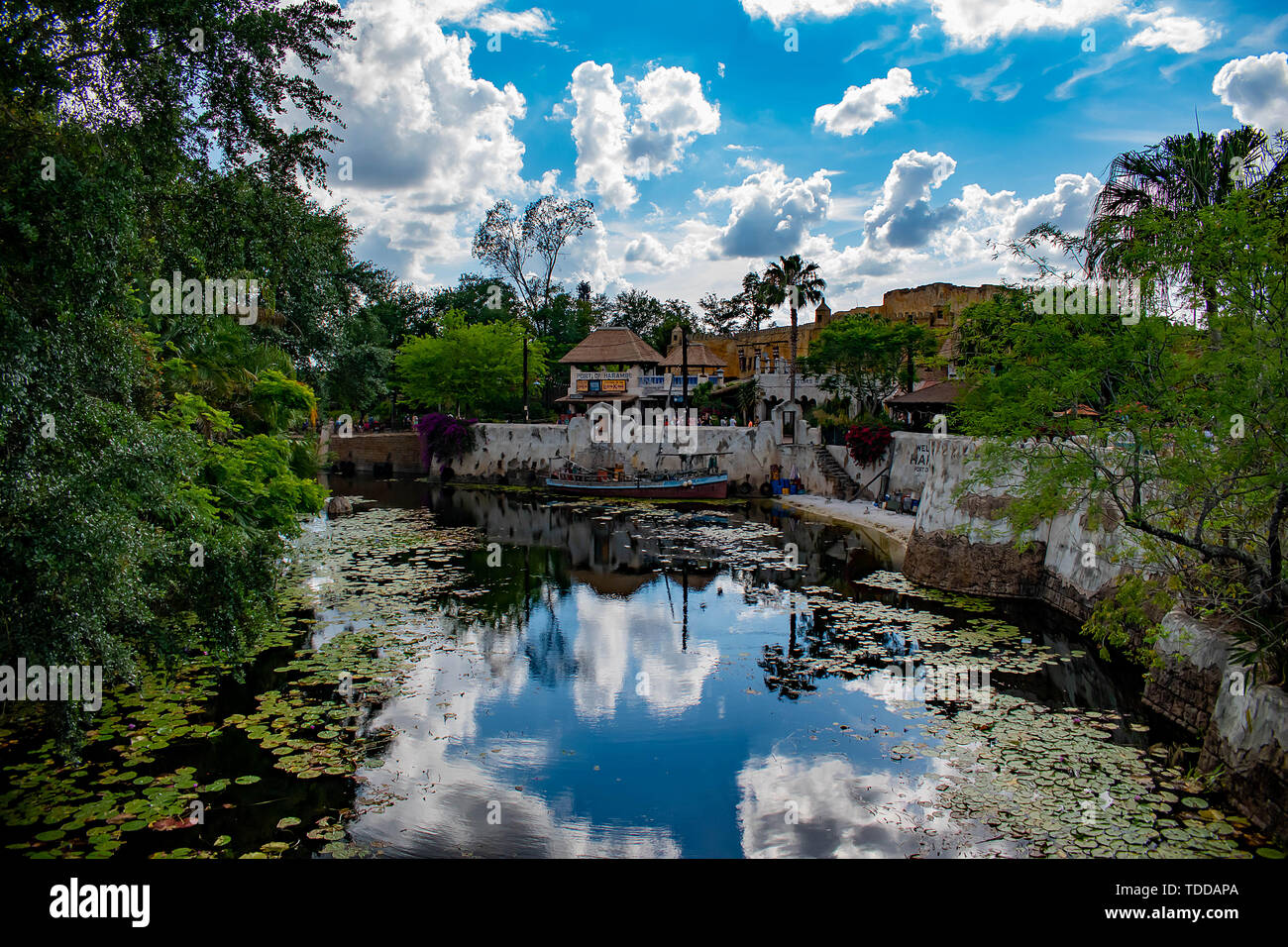 Orlando, Florida. Mai 03, 2019. Menschen tanzen mit afrikanischer Musik Band im Tierreich (2) Stockfoto