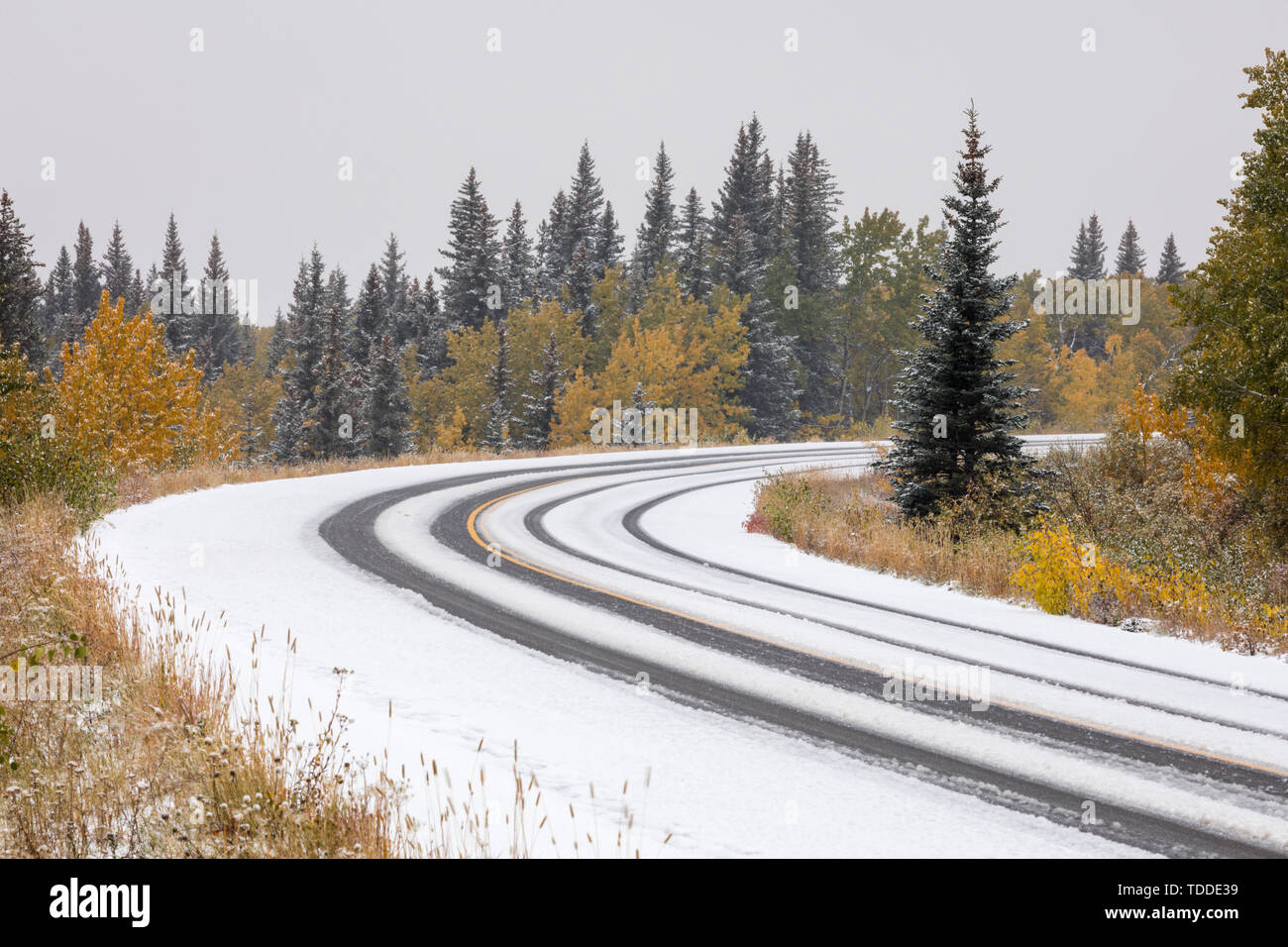 Verschneite Straße, Waterton Lakes Nationalpark, Alberta, Kanada Stockfoto