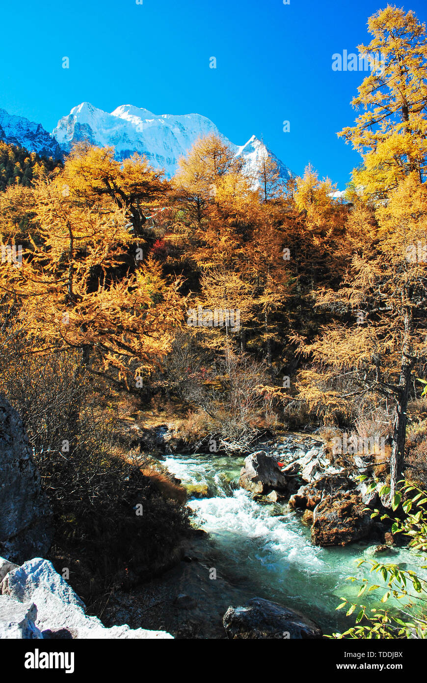 Aden drei Göttlichen Berg Herbstfarbe, unsterblich ist die Sonne Stockfoto
