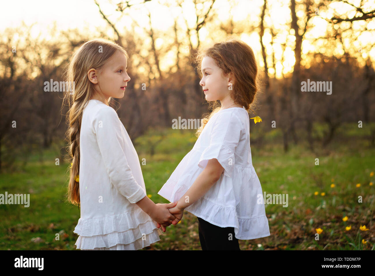 Süße kleine Mädchen in weißen Kleidern an einander in die Augen schauen. Porträt der Schwestern in Frühlingswiese. Freundschaft und Vertrauen Konzept Stockfoto