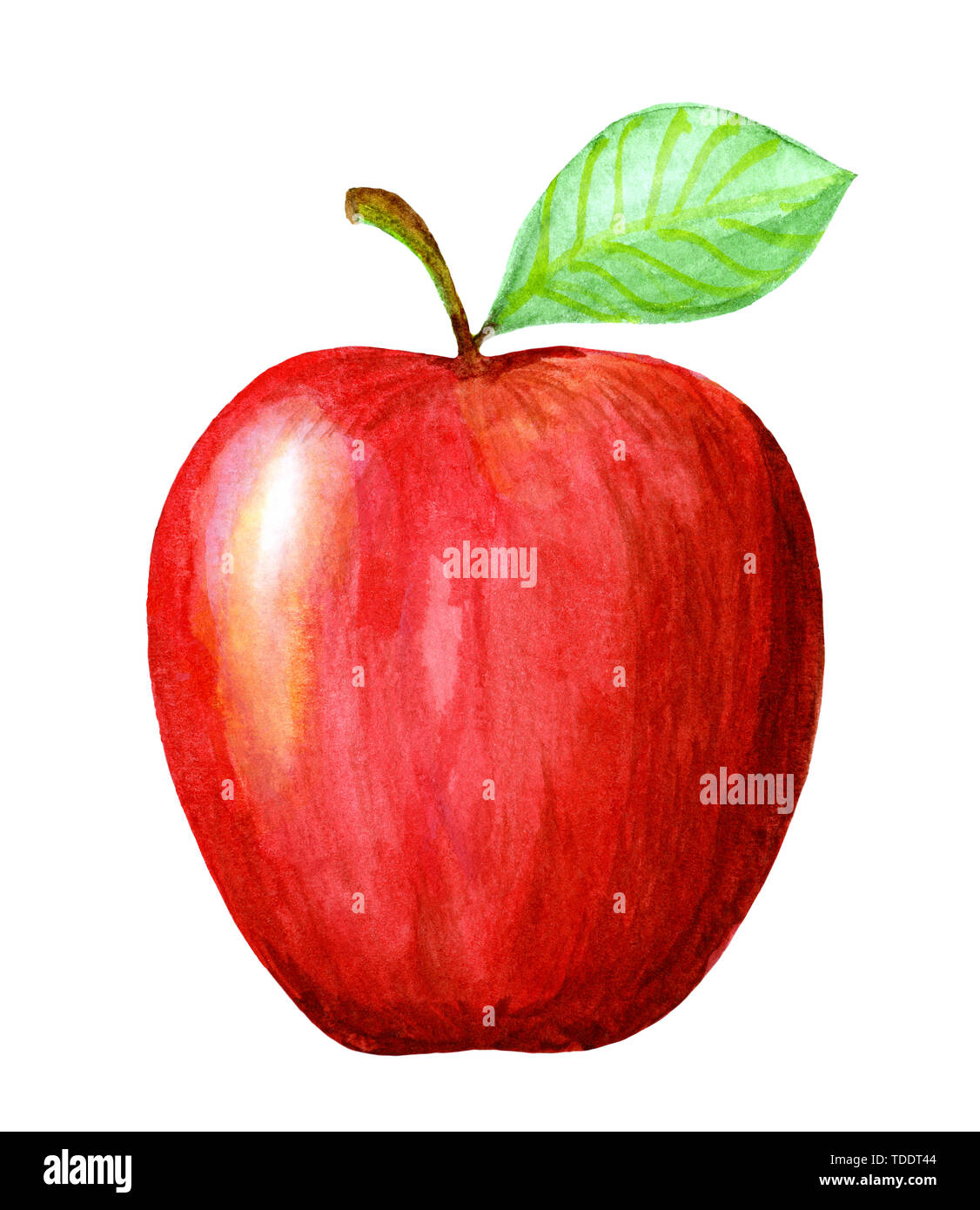 Aquarell Hand gezeichneten roten Apfel. Isolierte eco natürliche Lebensmittel Obst Abbildung auf weißem Hintergrund Stockfoto