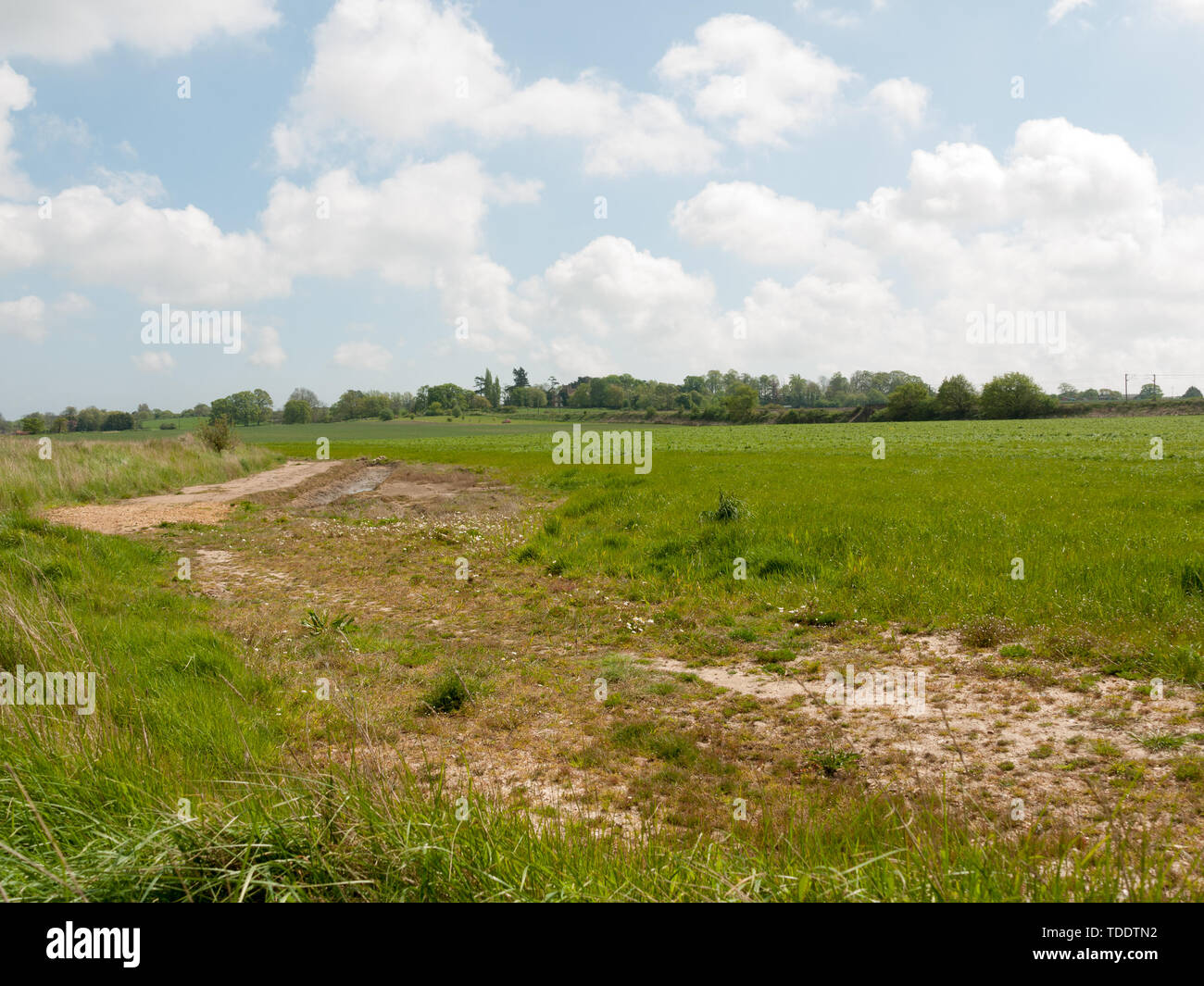 Schöne Szene in der freien Natur mit Bäumen und Sky; England Stockfoto