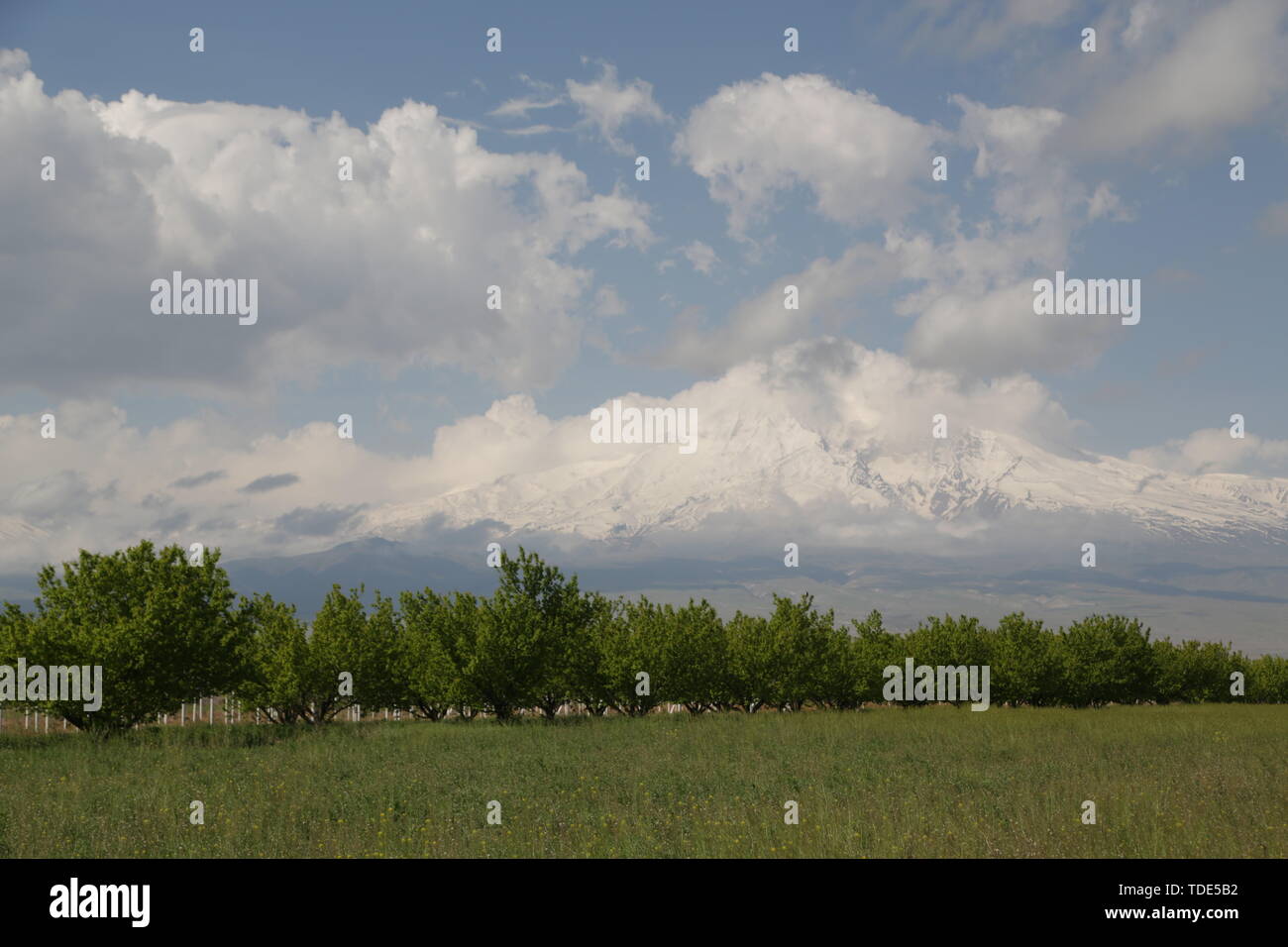 In Armenien Khor Virap das alte Kloster mittelalterlicher Architektur in der Nähe der Berg und die ararat Stockfoto