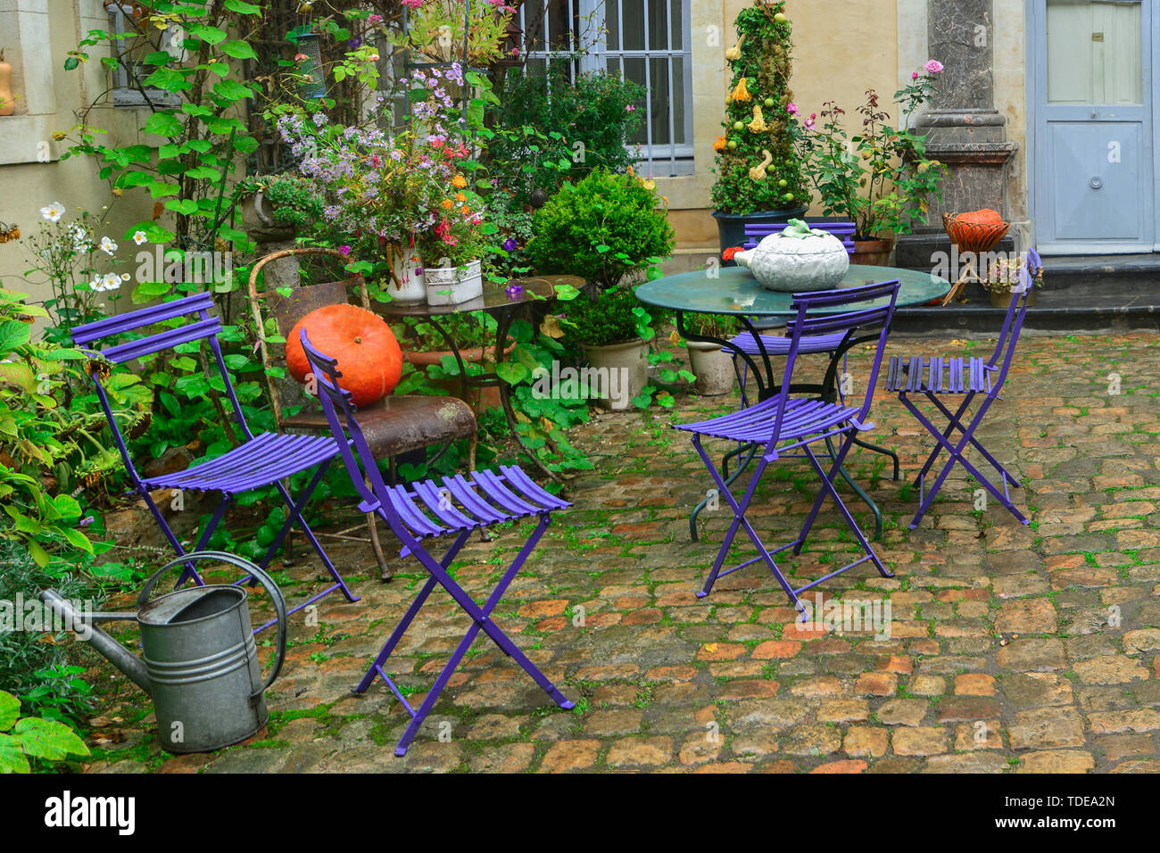 Garten mit Herbst Blumen, Kürbisse, Pflanzen dekoriert Stockfoto