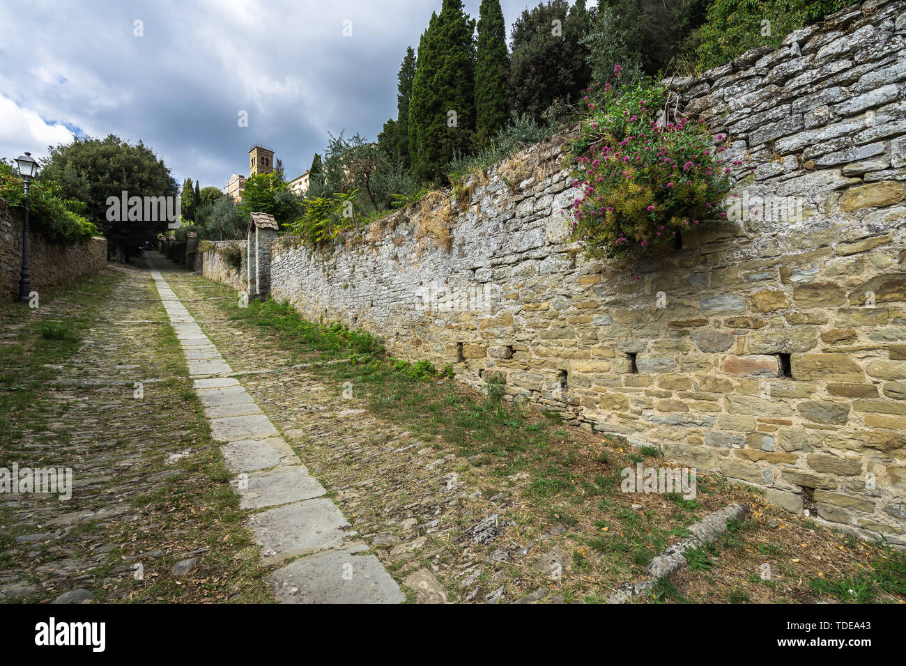 Wanderweg zur Basilika von Santa Margherita auf dem Hügel über Cortona, Toskana, Italien Stockfoto